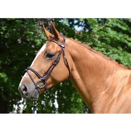 Filet Jump'In Monday gecombineerde neusriem week