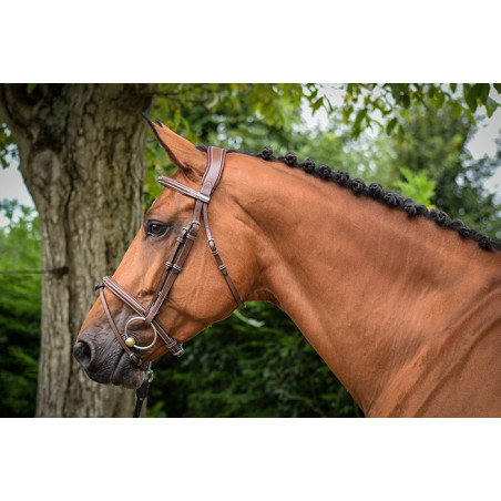 Filet Jump'In Parijs One