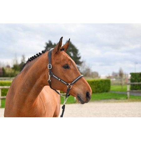 Halster Clincher Jump'In One Premium