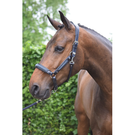 Halster Crystal Jump'In week