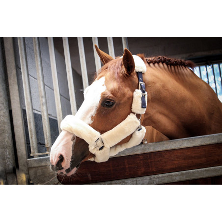 Halster Jump'In Soft One