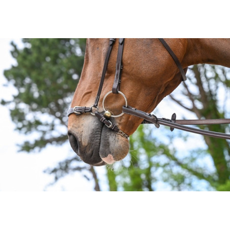 Duitse neusriem met ketting Jump'In Week