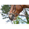 Duitse neusriem met ketting Jump'In Week - Havana