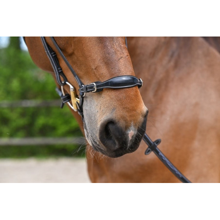 Duitse neusriem Jump'In Week