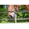 Hackamore neusriem Jump'In - Zwart