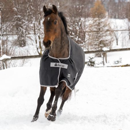 Waterdichte deken Bucas Anniversary Turnout 50g SF