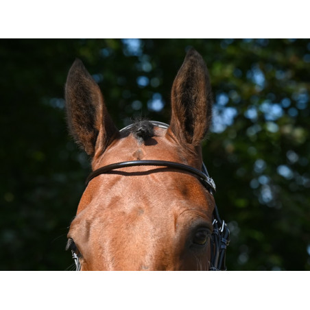 Frontal Jump'In glanzend rond