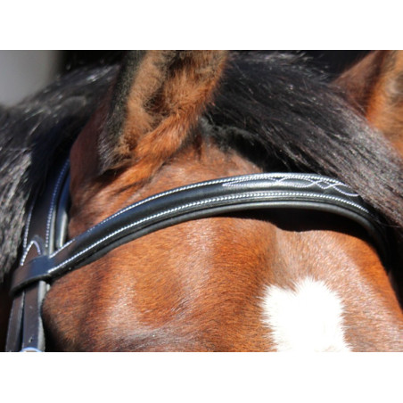 Frontaal Parijs Jump'In One