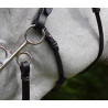 Bedragen en riem voor hackamore Jump'In week - Havana