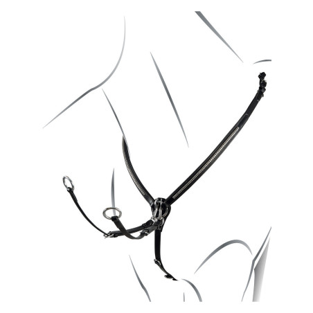 Leren borsttuig met zilverkleurige clincher Equestro