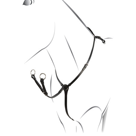 Leren borsttuig Roxane Equestro