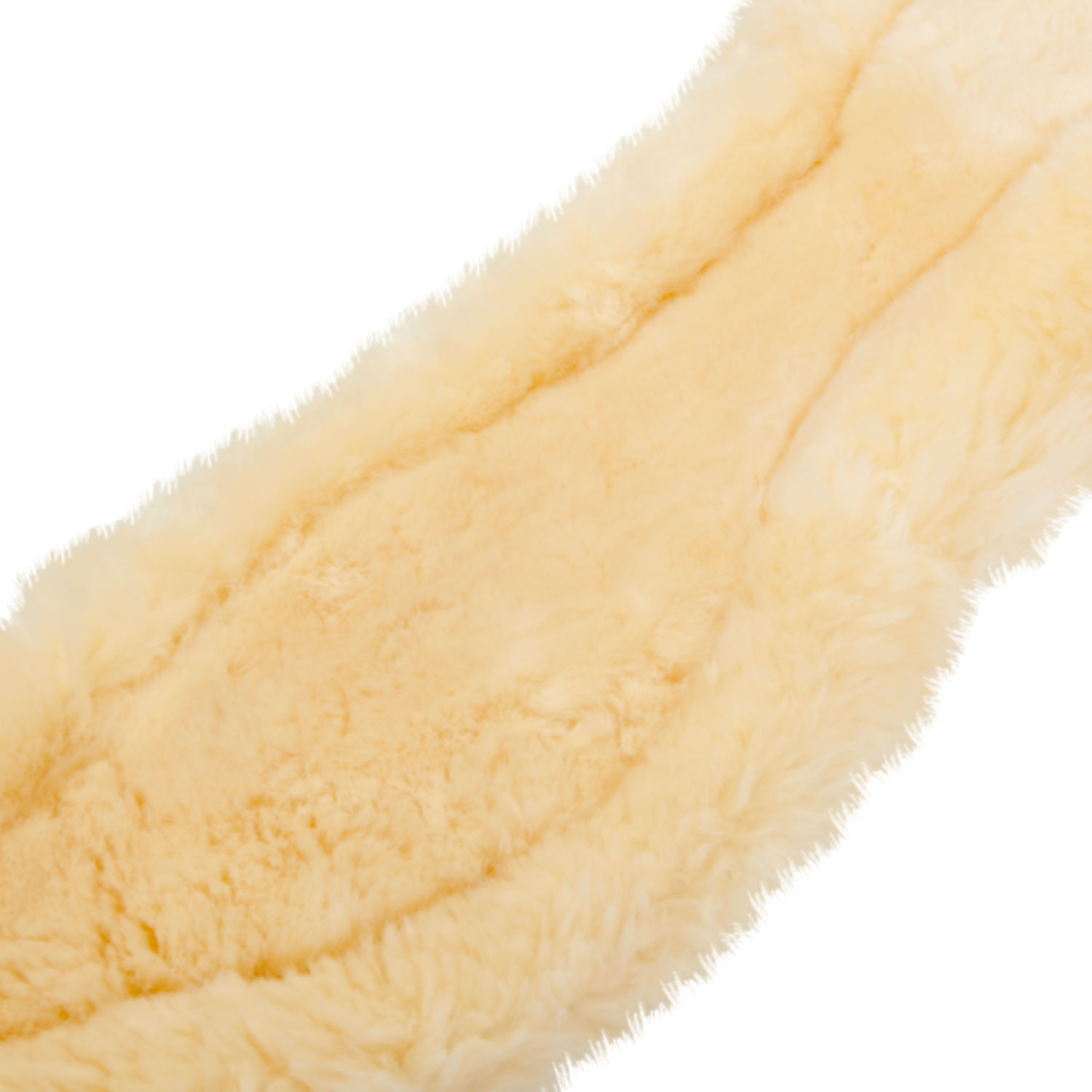 Leren dressuursingel Gisele Equestro Zwart Leren dressuursingel Gisele Equestro Zwart