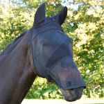 Vliegenmasker Covalliero