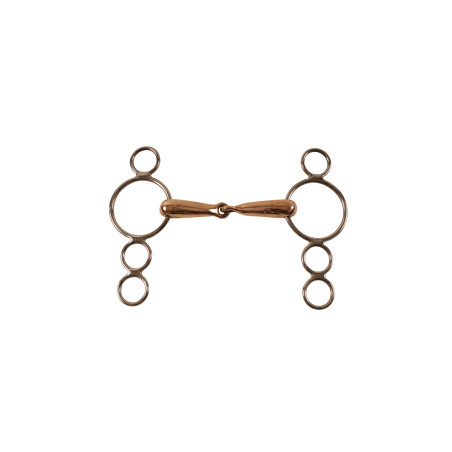 Mors Pessoa Vide in Koper 2 Ringen Umbria Equitazione