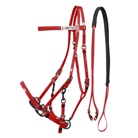 Bridon Halster in Biothane Lakota