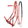 Bridon Halster in Biothane Lakota - Rood