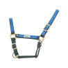 Nylon halster met Gekleurde Delen Umbria Equitazione - Groen / koningsblauw