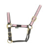 Nylon halster met Gekleurde Delen Umbria Equitazione - Grijs / roze