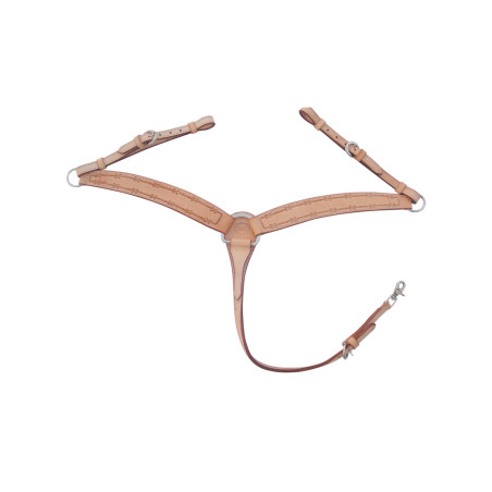 Borsttuig Barbwire Pool's