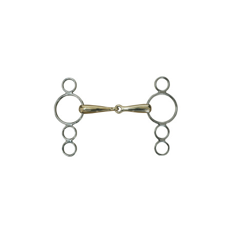 Mors Pessoa Plein in Duits Koper 2 Ringen Umbria Equitazione