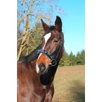 Exclusieve kaptoom zwart van leer