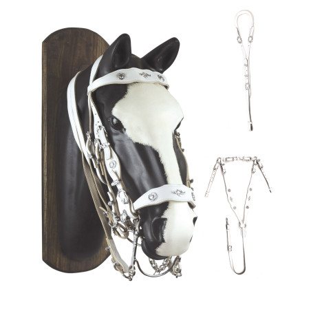 Portugees ensemble in Amarante-leer JM