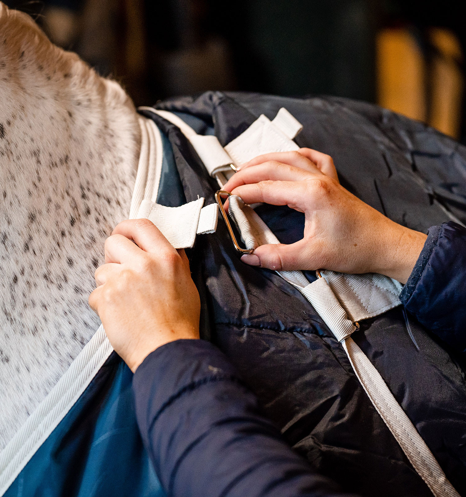 Liner Horseware 100g Eco Sarcelle eco print / grijs Blauw Liner Horseware 100g Eco Sarcelle eco print / grijs Blauw