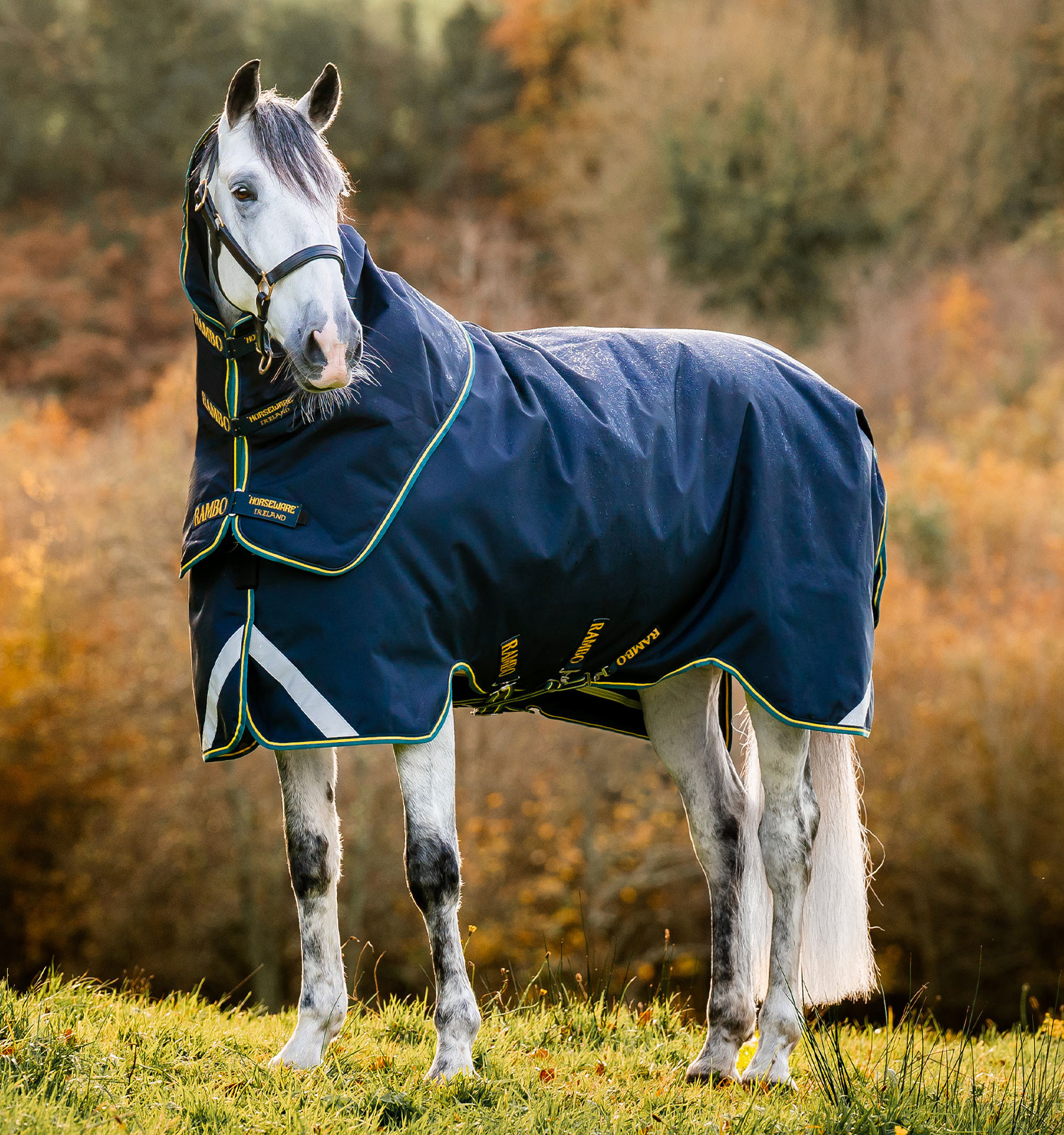 Couverture Horseware Rambo Duo Force 2.0 100 g avec liners 100 et 300 g