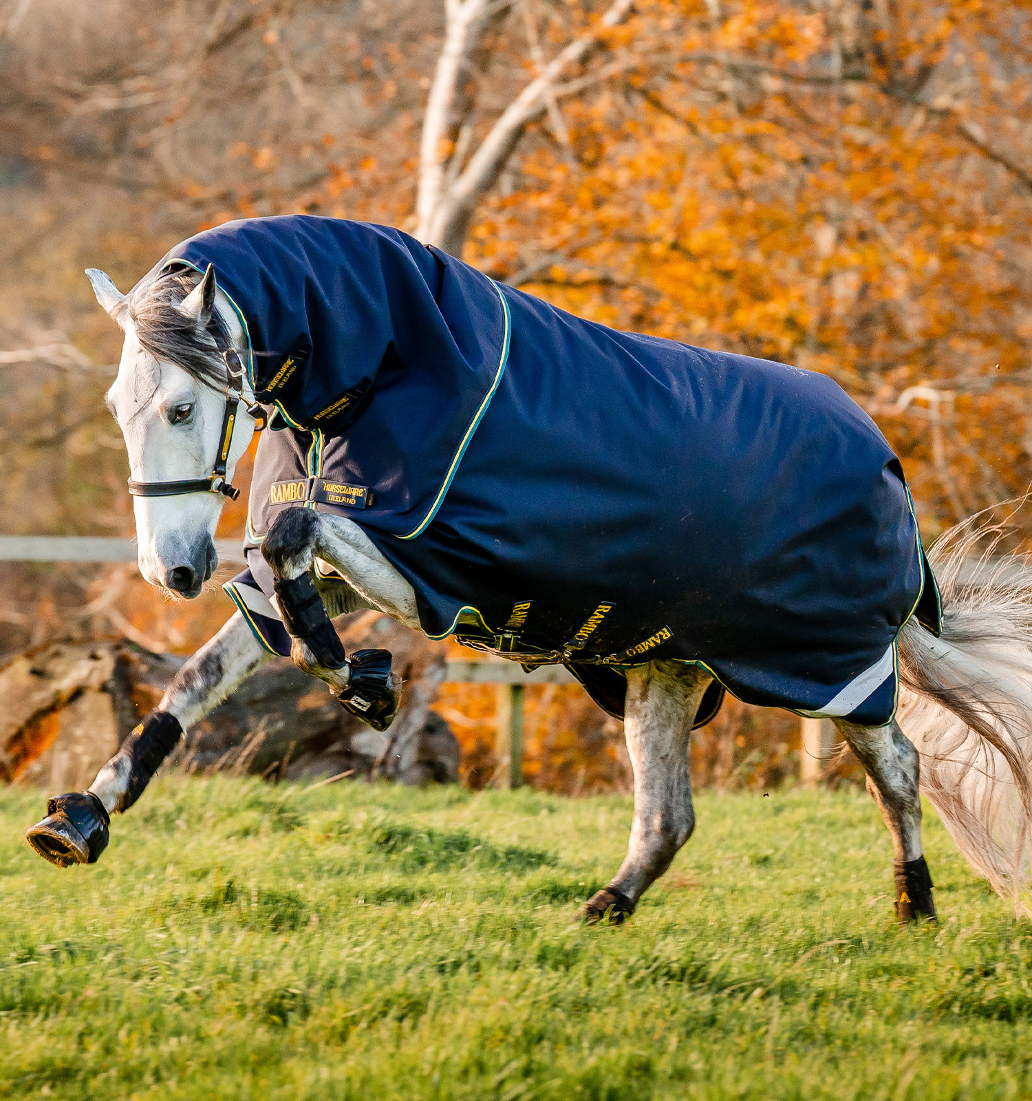 Couverture Horseware Rambo Duo Force 2.0 100 g avec liners 100 et 300 g