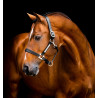 Lederen halster Horseware Signature - Zwart