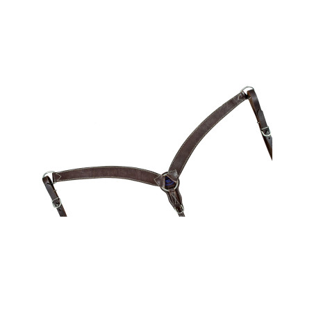 Western borsttuig Pool's