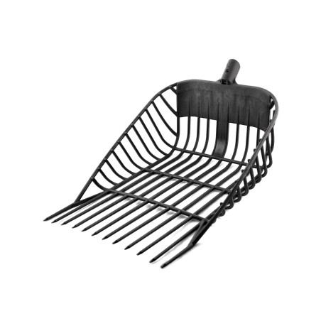 Forchekop Pegus Umbria Paardrijden