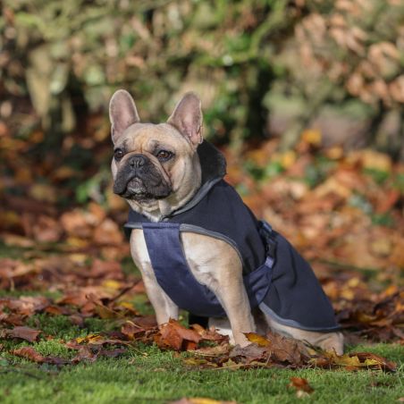 Hondenhoes Show-Line Bucas