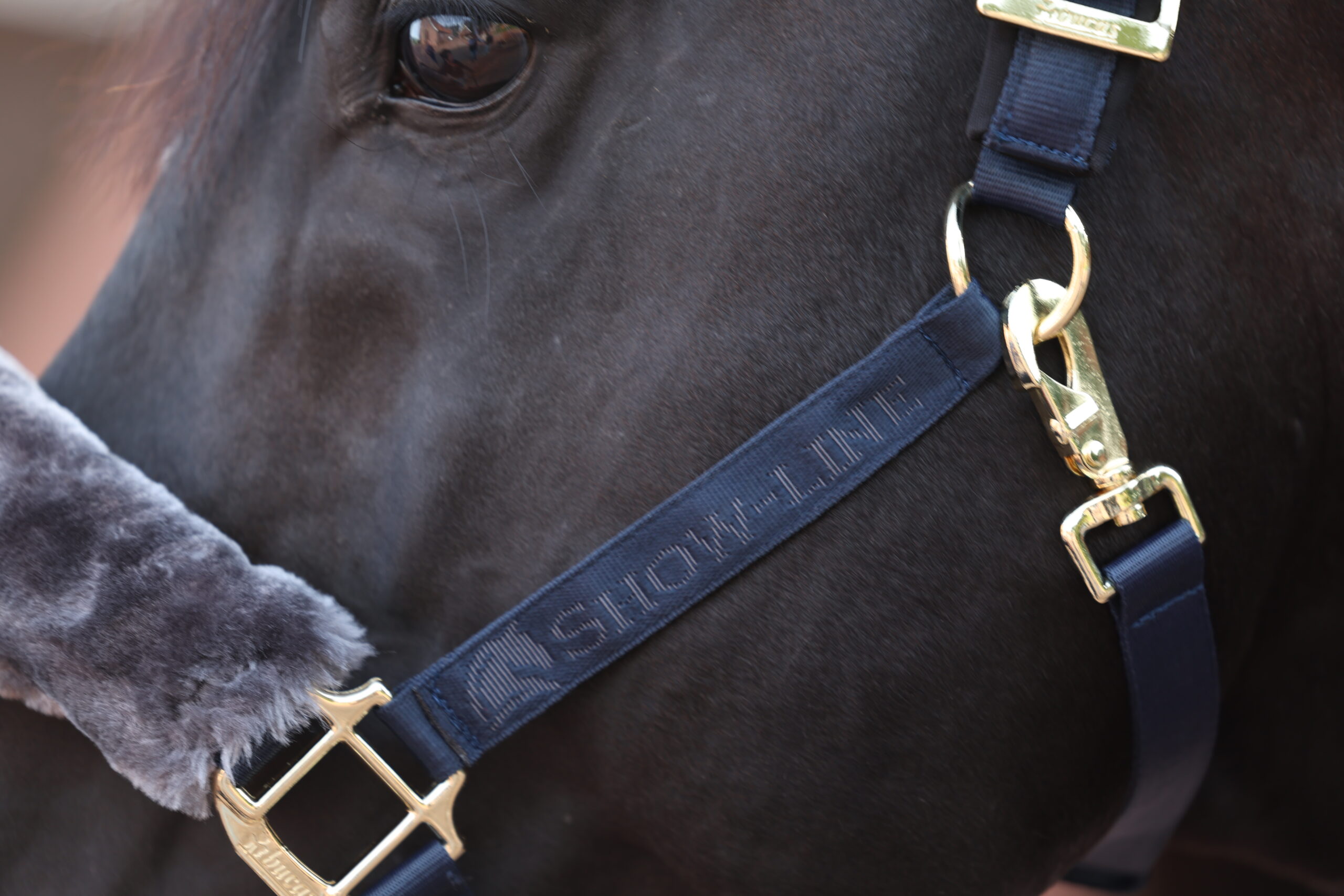 Halster Bucas Show-Line Marine / grijs Blauw