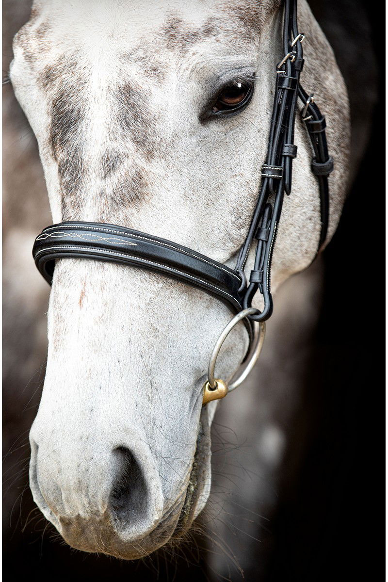 Bridon Montar Hunter Zwart