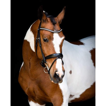 Hoofdstel Montar anatomisch kopstuk Fair