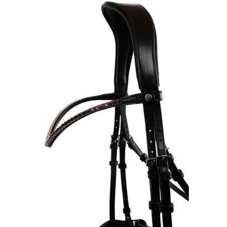 Frontaal Monteren Fair kristal pruim gebogen