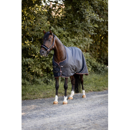 Waterdichte dubbel fleece deken Pony Pegasus Horze