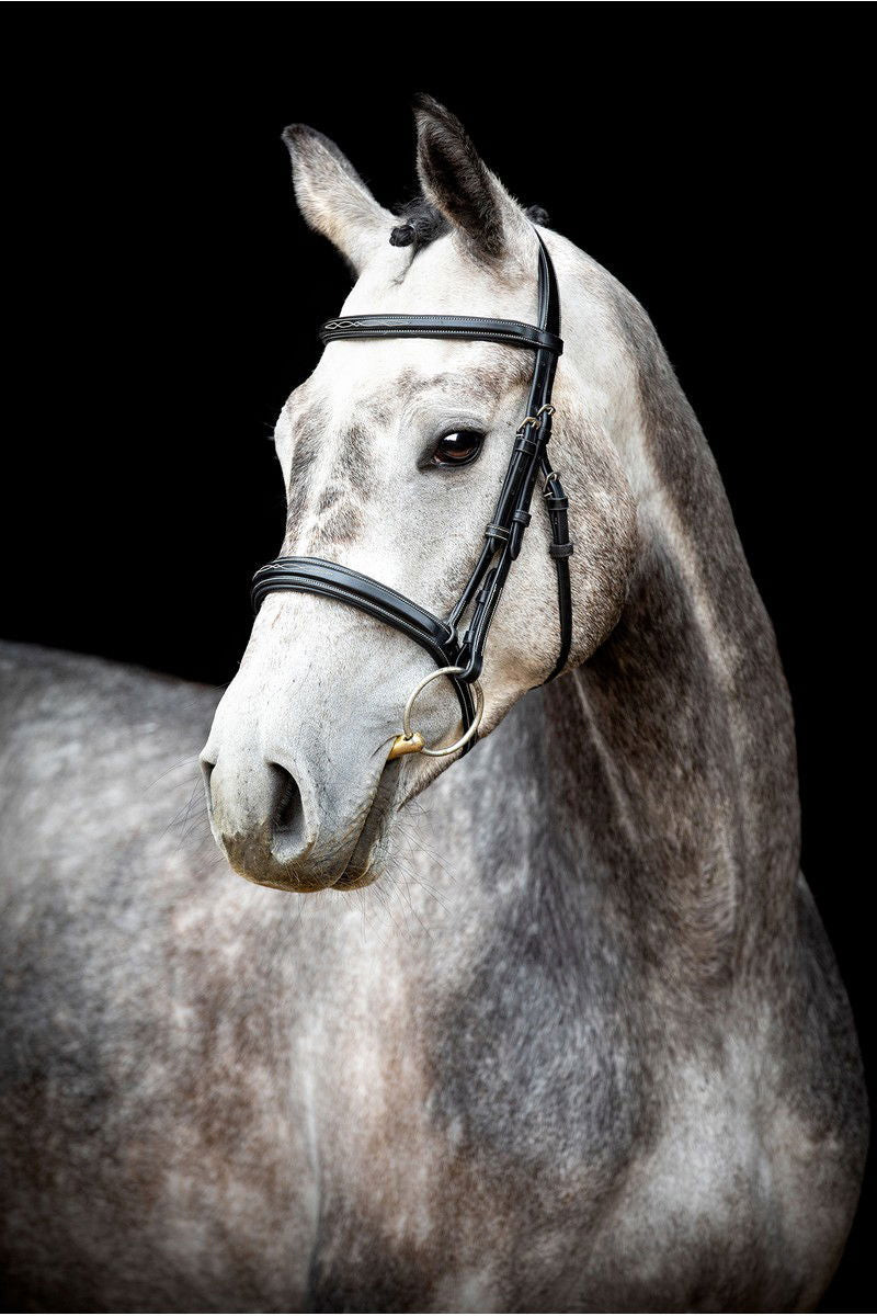 Bridon Montar Hunter Zwart