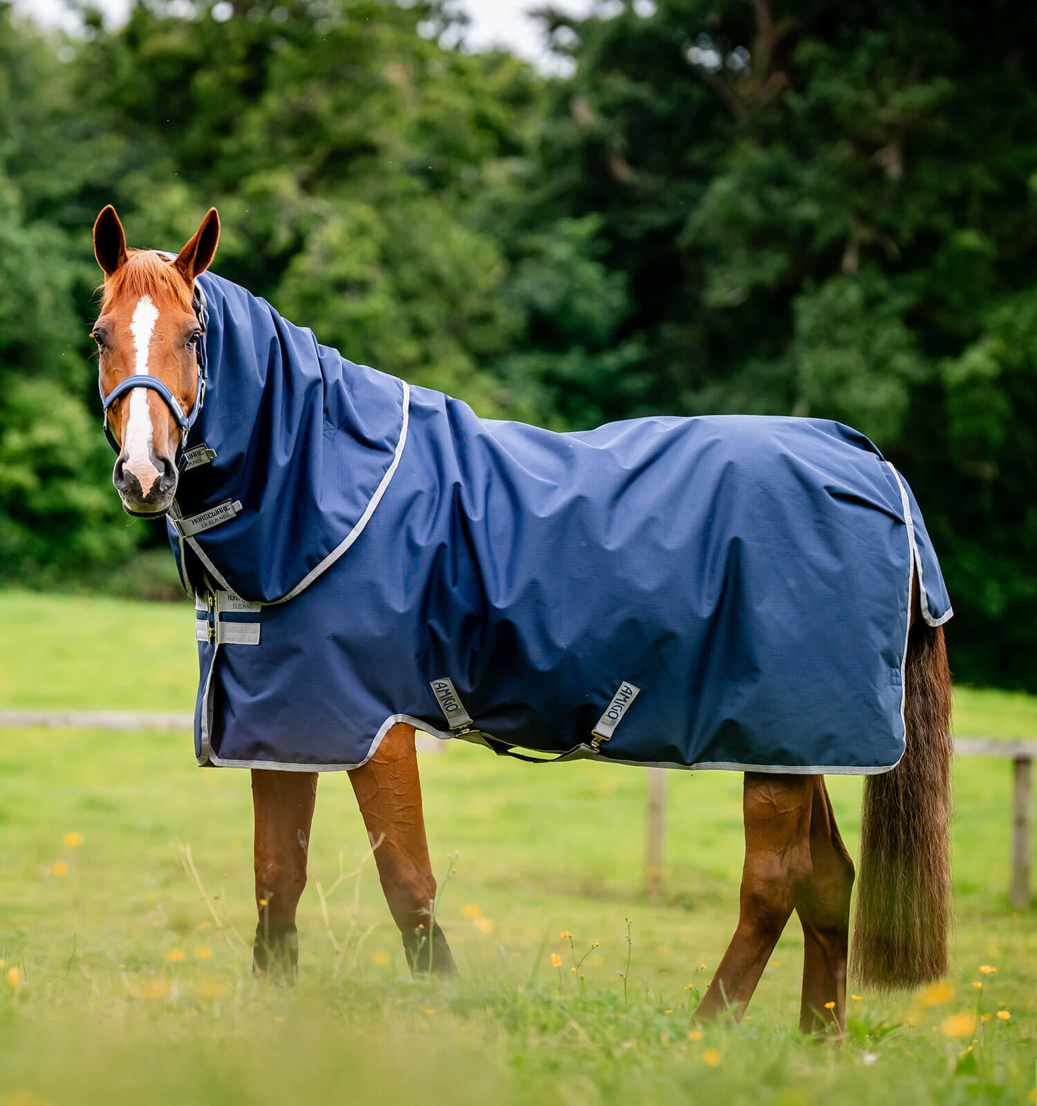 Amigo Ripstop Horseware 900D Plus Turnout 100g deken Marine / titaangrijs Marineblauw