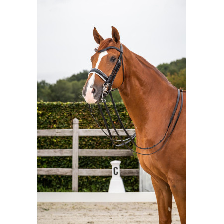 Dy'on collectie hoofdstel dressuur plat leer Lakneusriem Breed Wit Voering