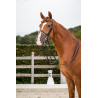 Dy'on collectie hoofdstel dressuur plat leer Lakneusriem Breed Wit Voering - Zwart