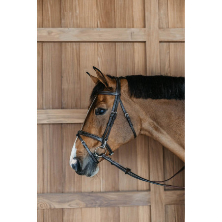 Bridon Working by Dy'on gecombineerde neusriem met karabijnhaken