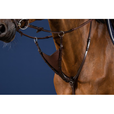 Volledige Soepele Martingaalvork Dy'on US Jumping