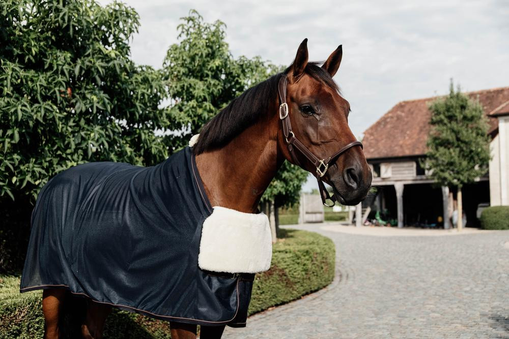 Borstbeschermer Kentucky in schapenwol Zwart