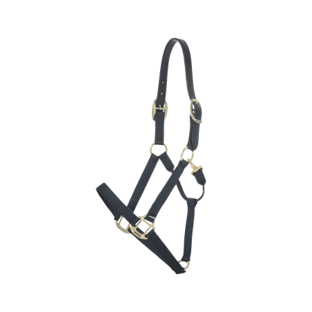 Nylon Halster Breakaway Kentucky