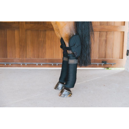 Onderstal- en Transportbandage met Bescherming voor de Sprong Kentucky