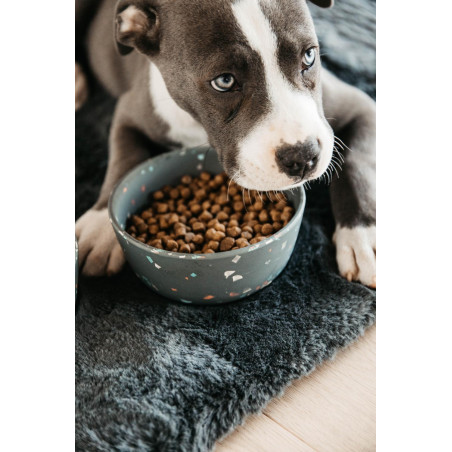 Hondenvoerbak Bamboo Terrazzo Kentucky