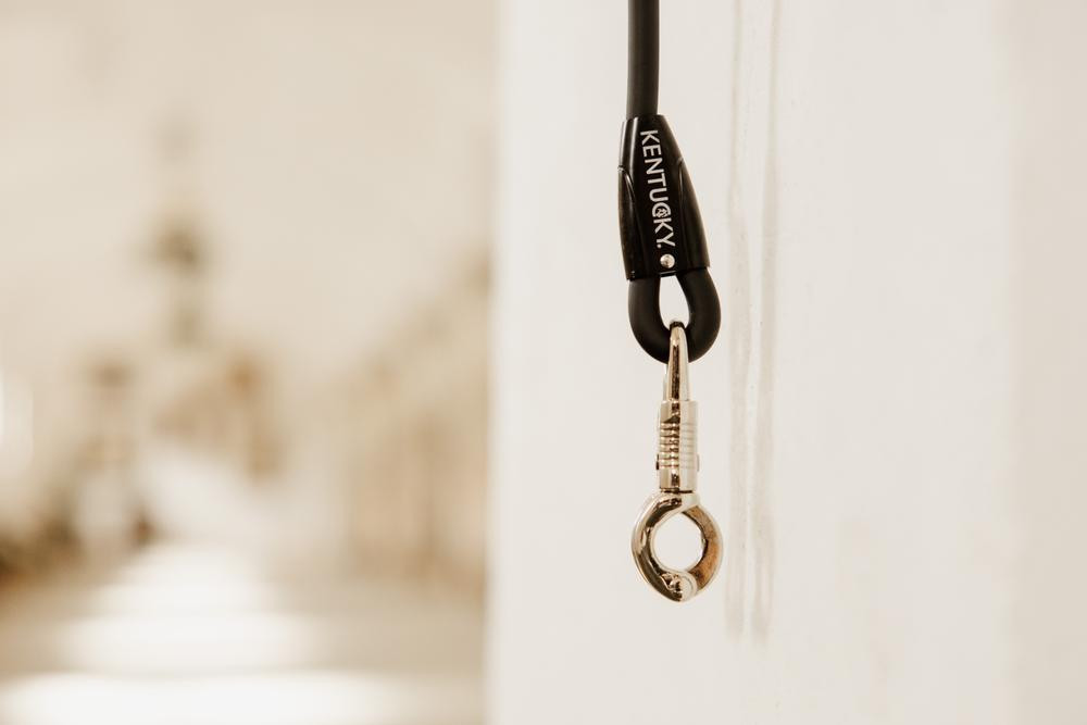 Siliconen halstertouw Kentucky Zwart