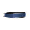 Halsband voor hond Charlie Back on Track - Blauw